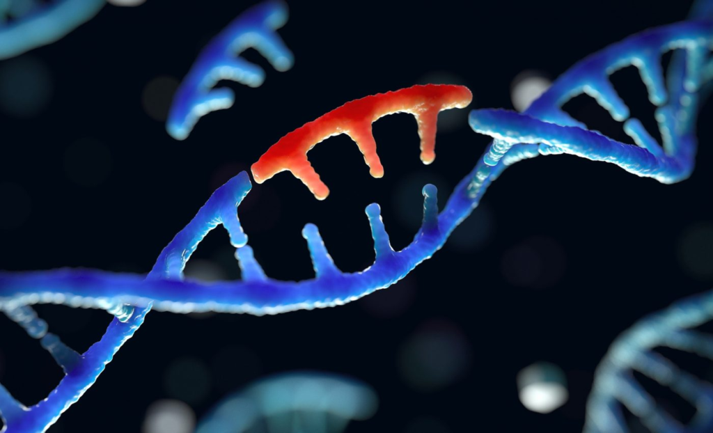 咖啡因或许能让科学家对基因编辑进行精确控制
