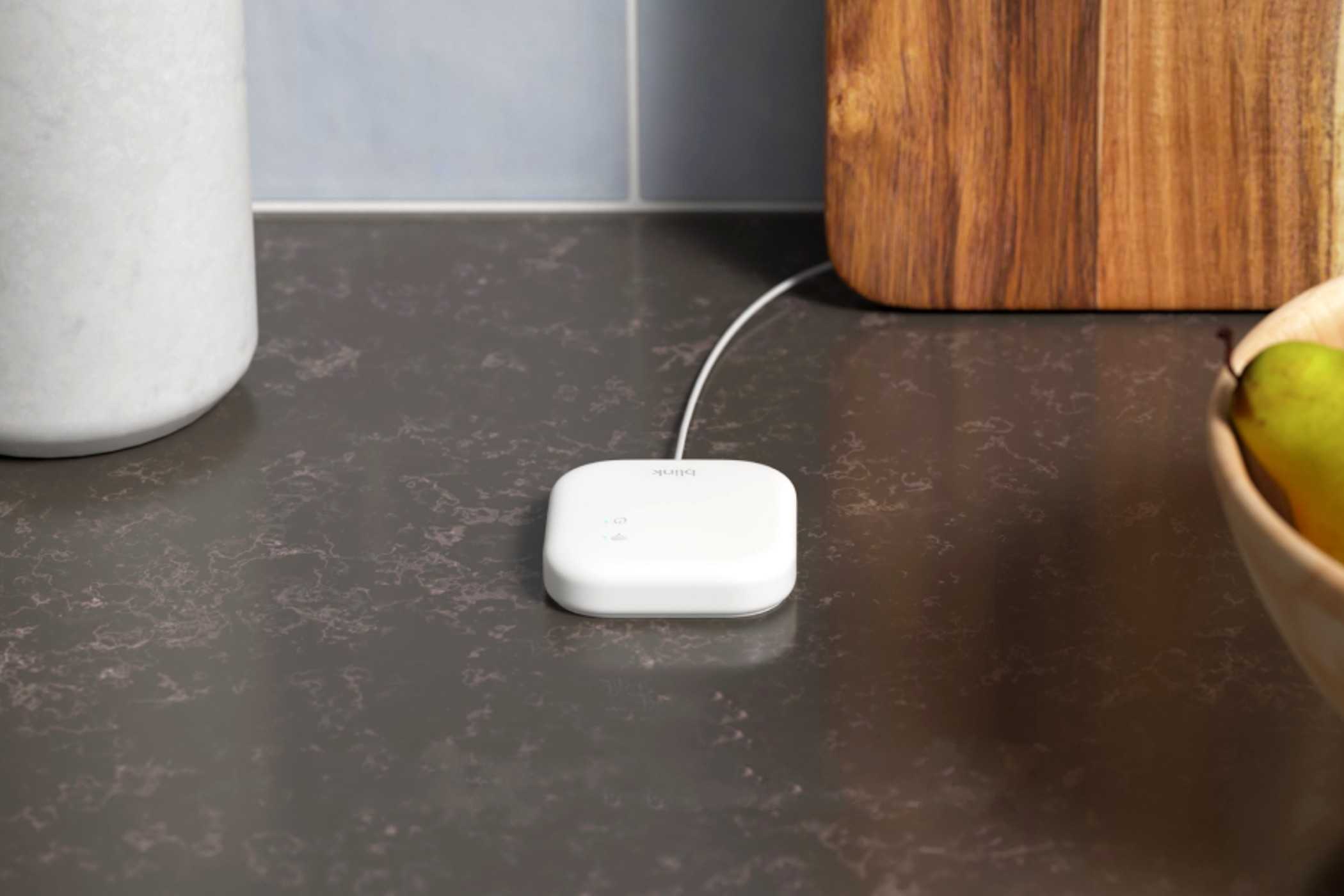 Sync Module XR wifi 信号扩展器放在桌子上，旁边是水果。