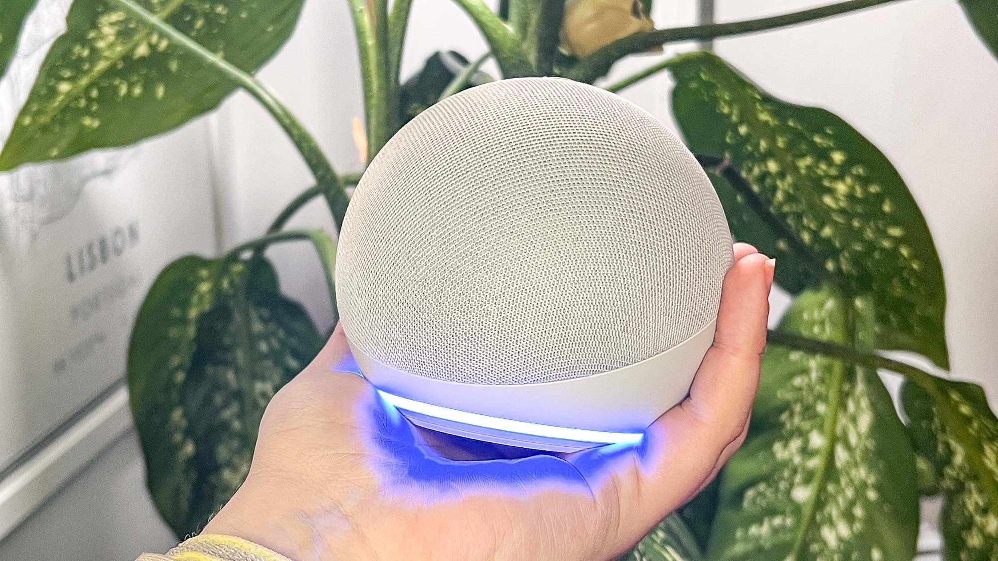 亚马逊 Echo Dot（第五代）