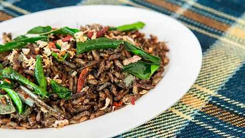 Getty Images 食用昆虫的碳足迹远低于牛羊（图片来源：Getty Images）